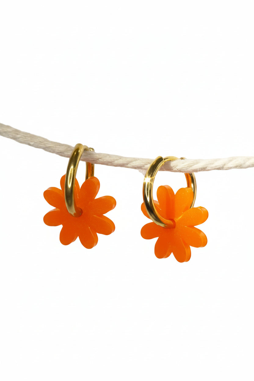Marguerites "Ainara"