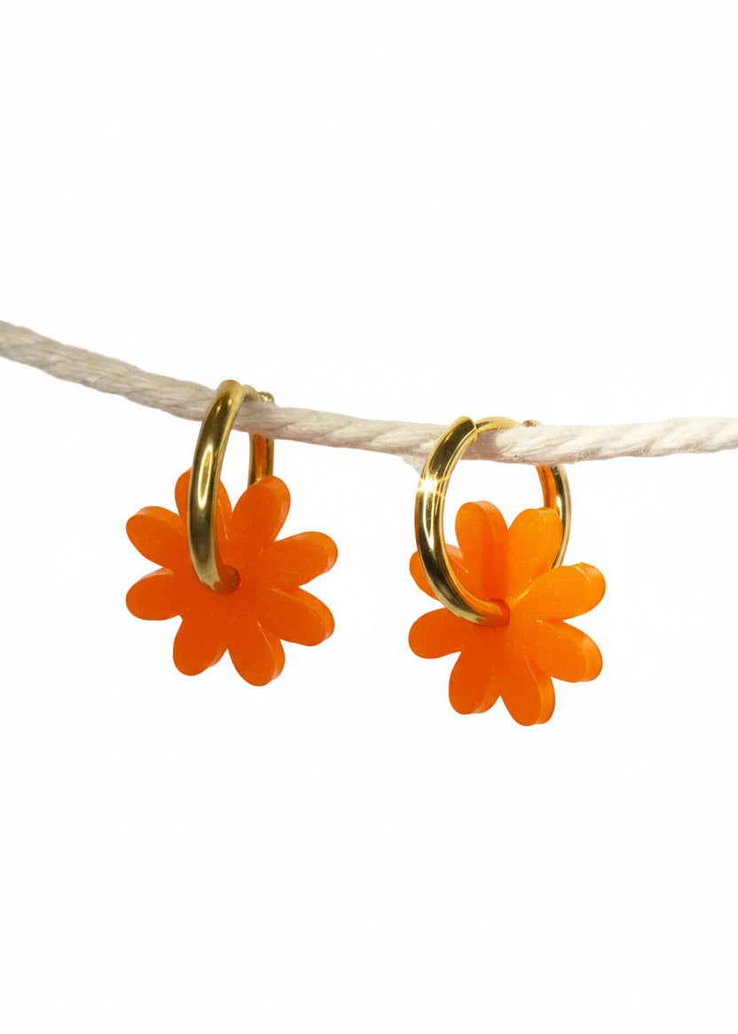 Marguerites "Ainara"