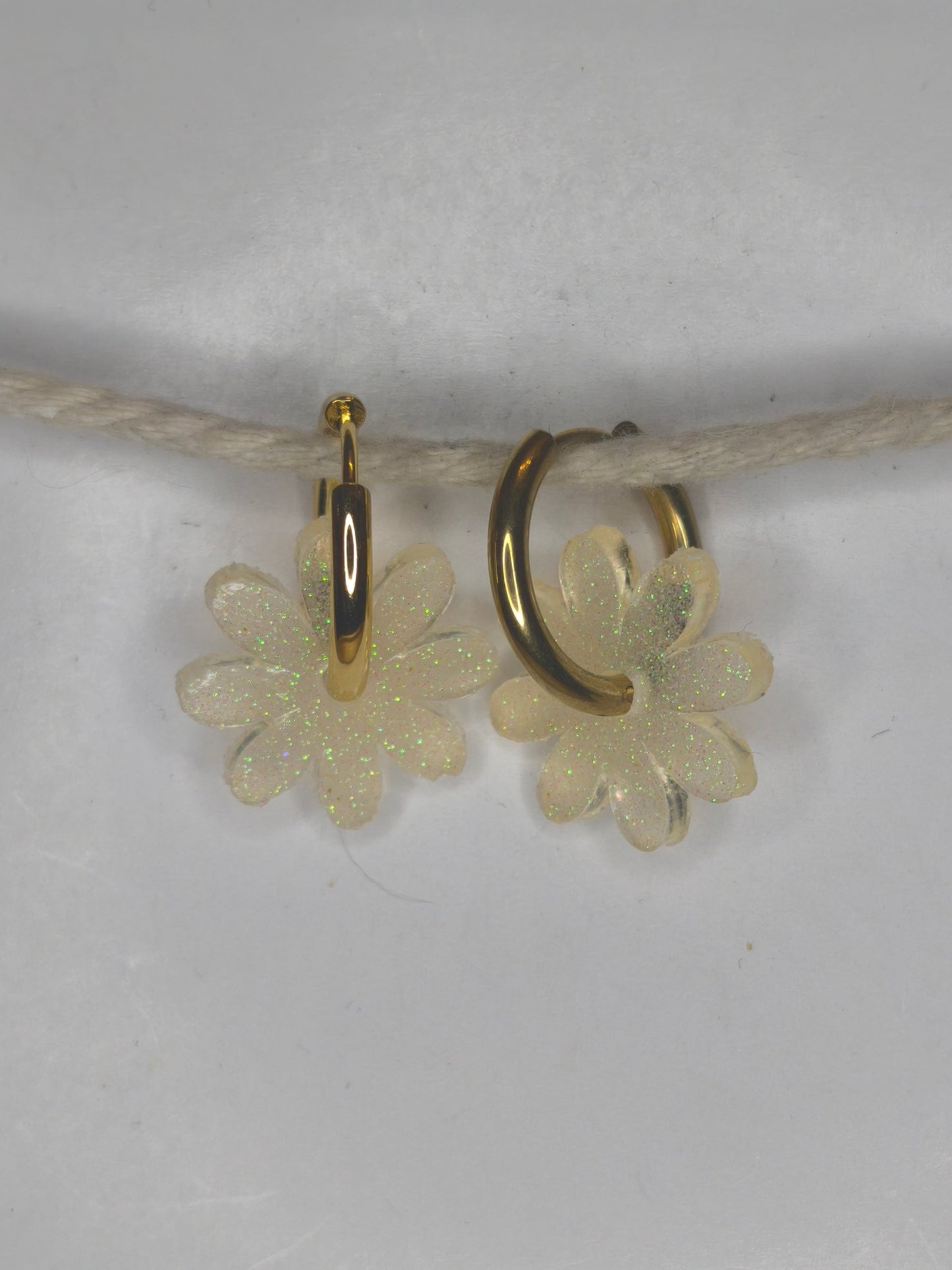 Marguerites "Chistera"