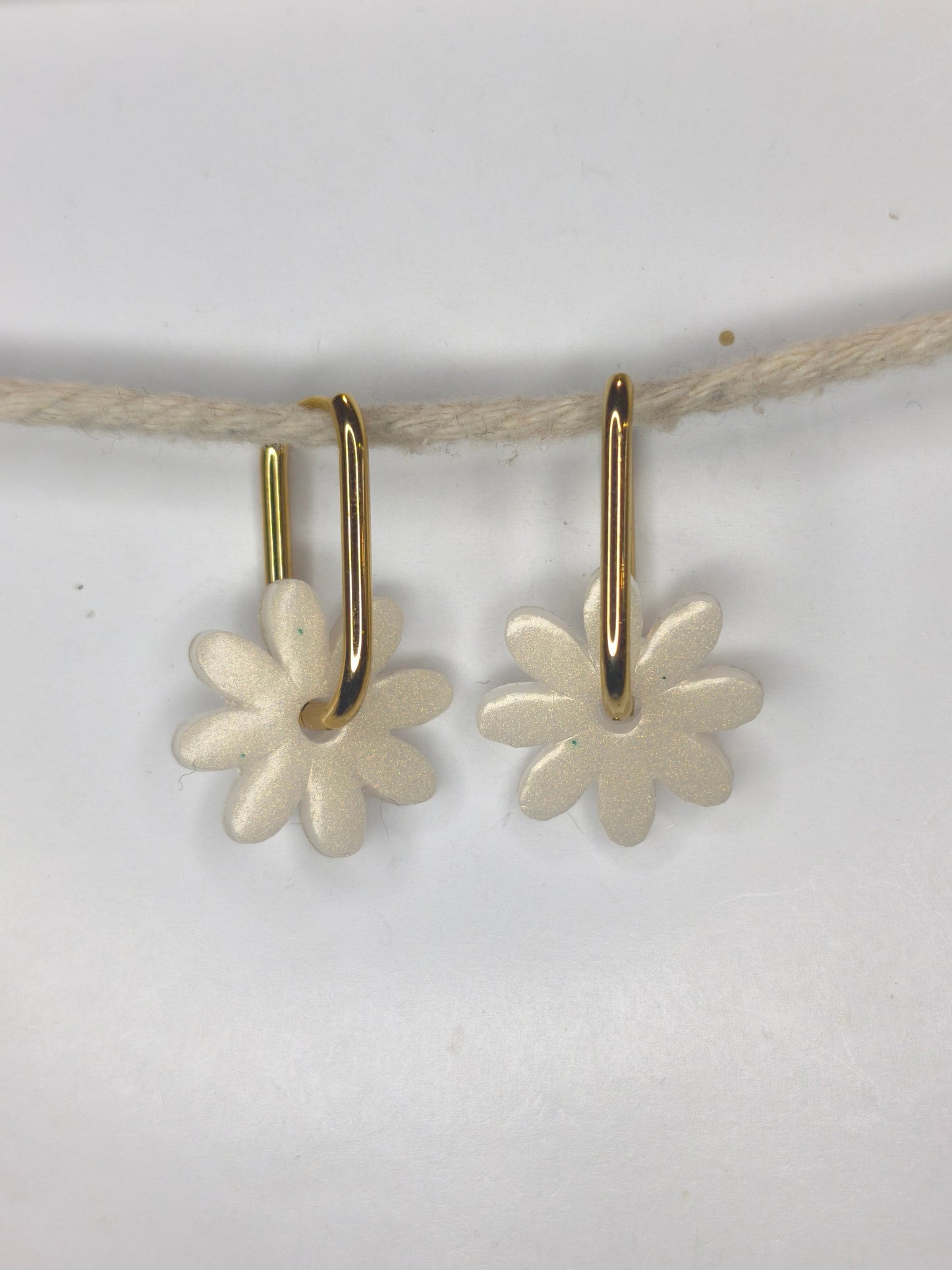Marguerites "Xabina"