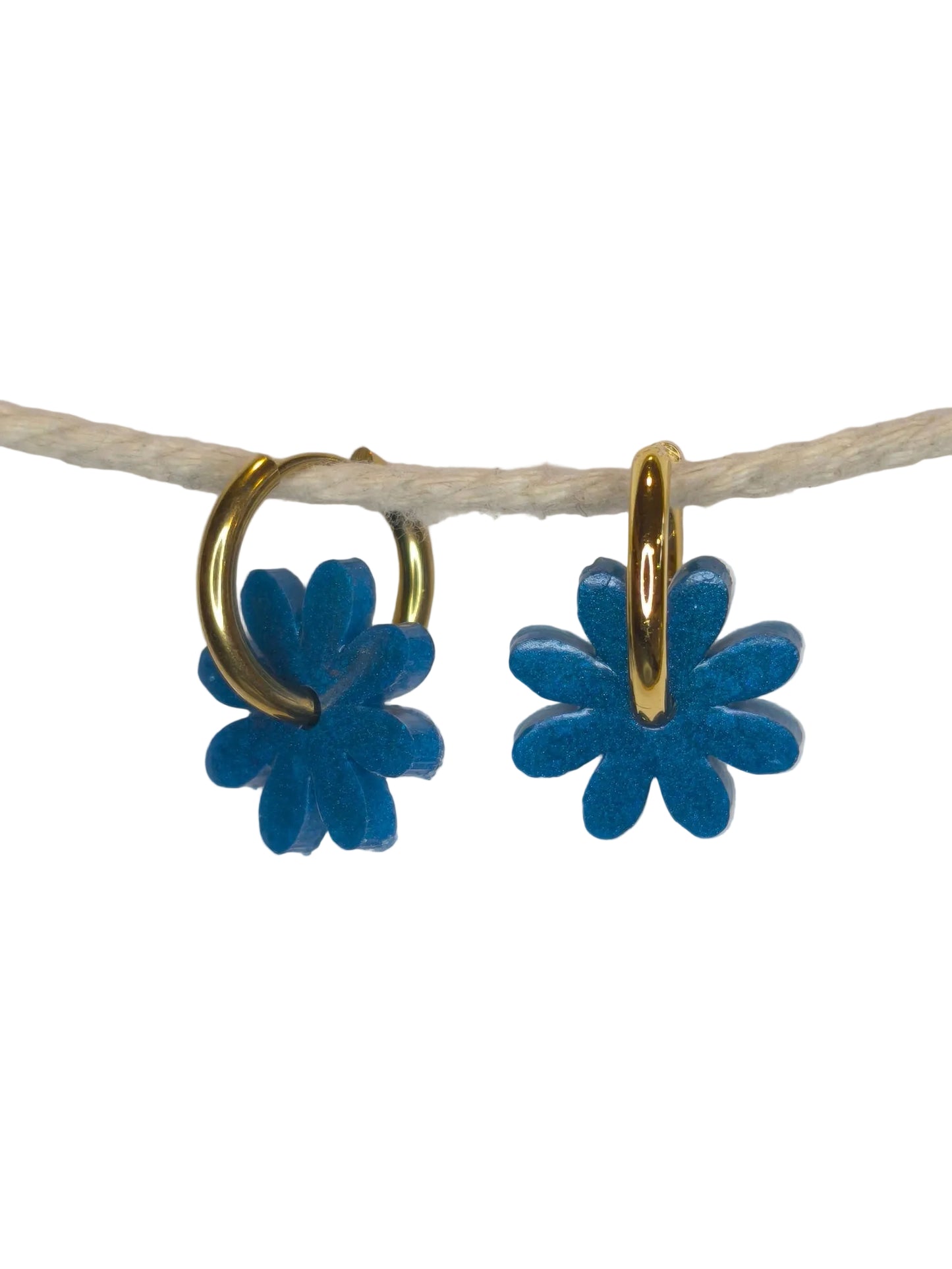 Marguerites "Mathys"