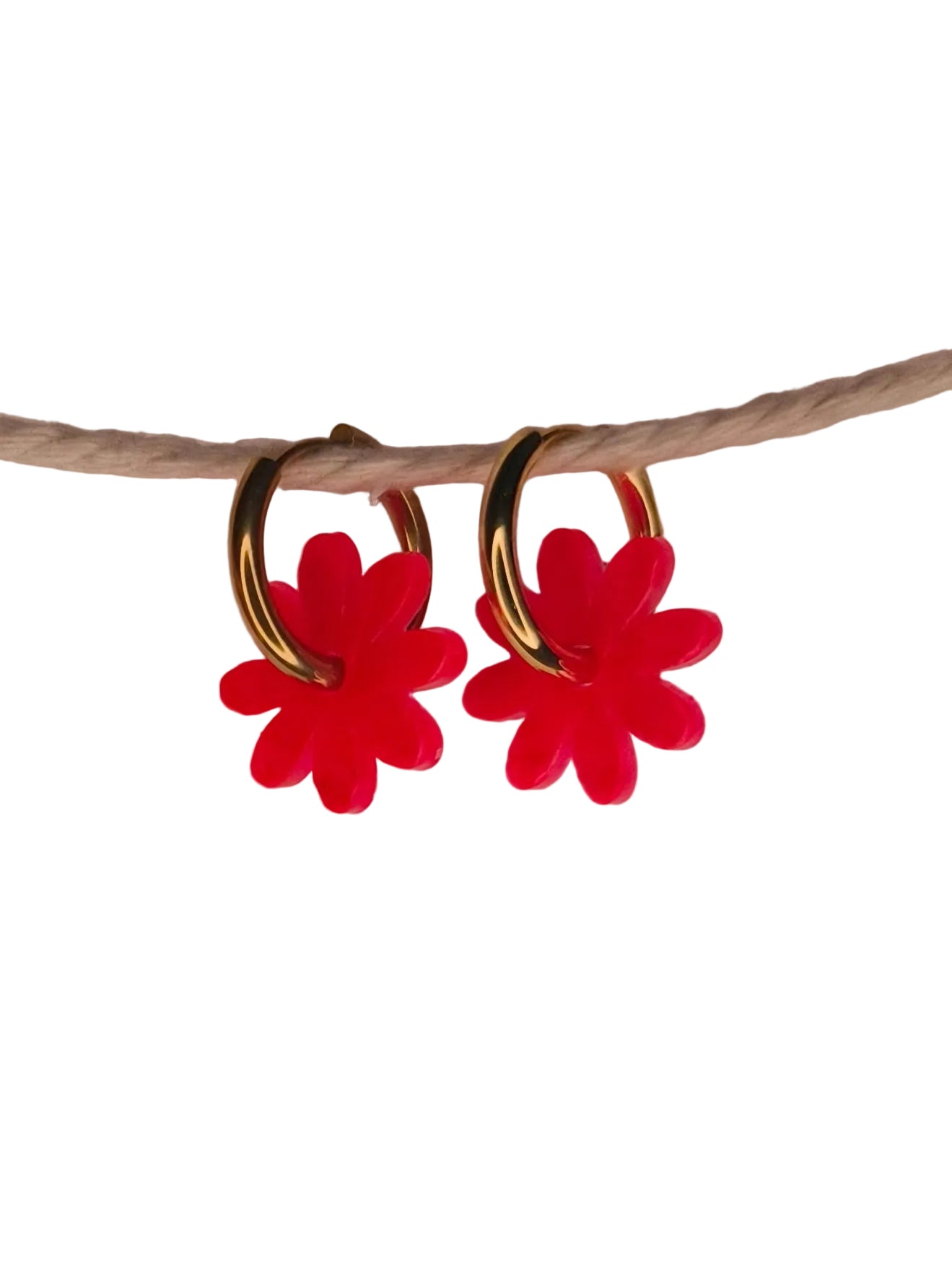 Marguerites "Sarah"