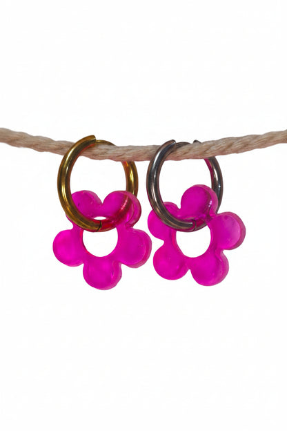 Fleurs "Felixia"