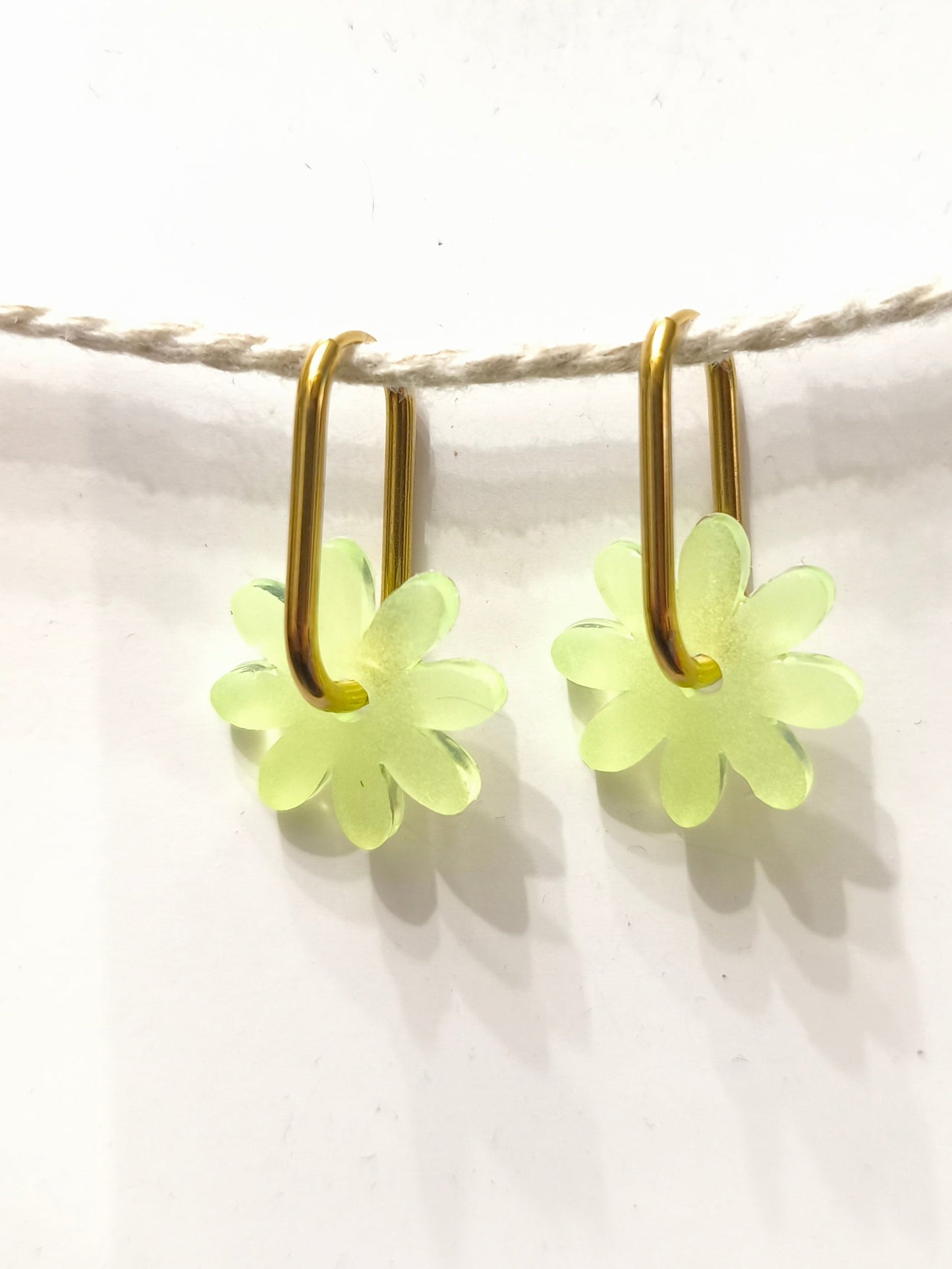 Marguerites "Cristina"