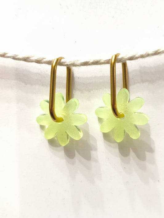 Marguerites "Cristina"