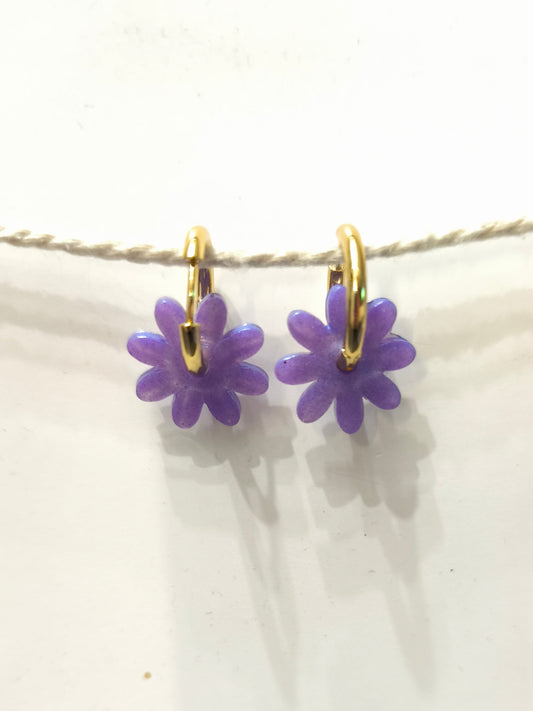 Marguerites "Maialen"