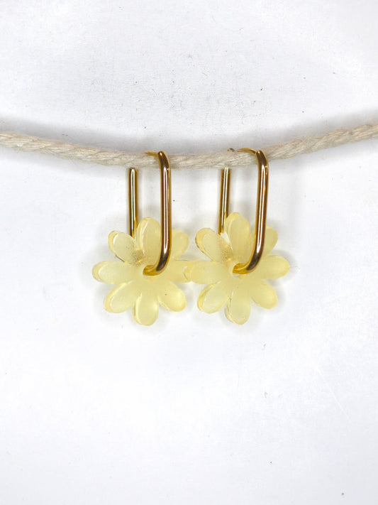 Marguerites "Antton"