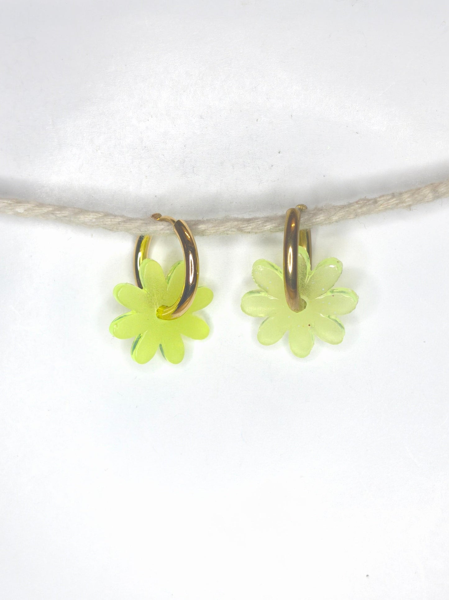 Marguerites "Domeka"