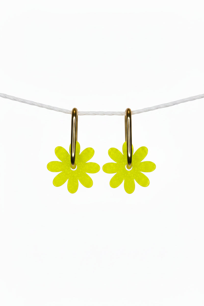 Marguerites "Luken"