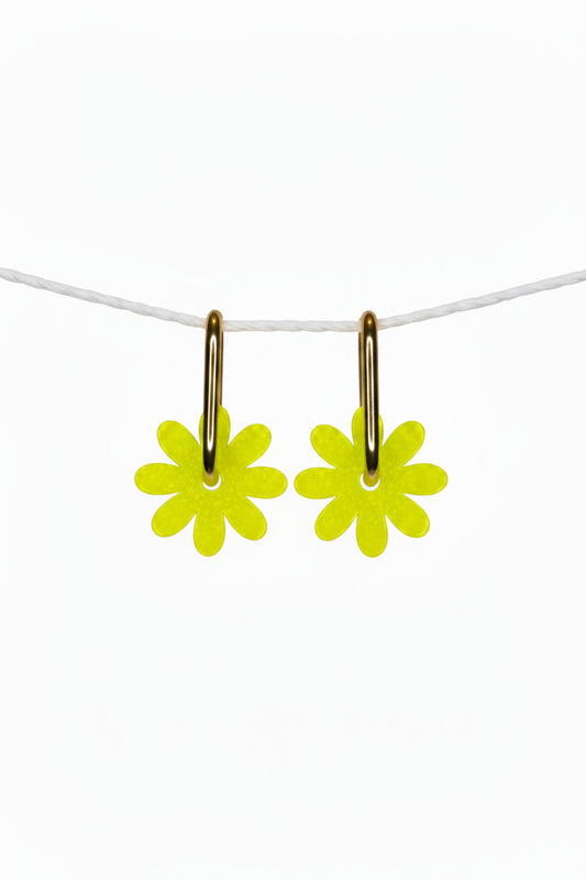 Marguerites "Luken"